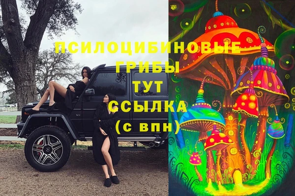 шишки Семёнов