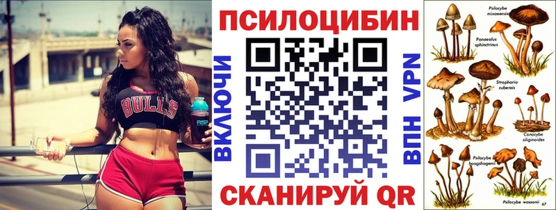 где купить   Горячий Ключ  Псилоцибиновые грибы ЛСД 